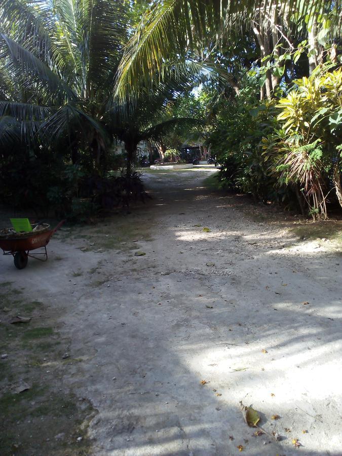 John Lhea Beach Cottages Siquijor Exteriér fotografie