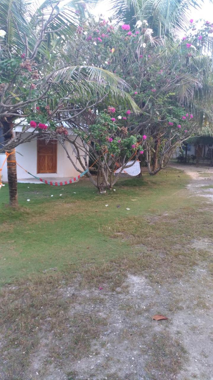 John Lhea Beach Cottages Siquijor Exteriér fotografie